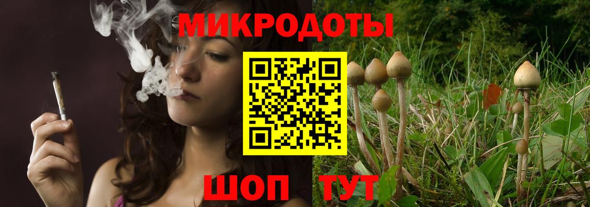 сколько стоит  Галлюциногенные грибы прущие грибы  Вход с VPN  Лениногорск 