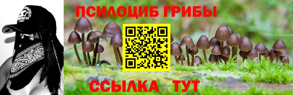 Галлюциногенные грибы прущие грибы Лениногорск